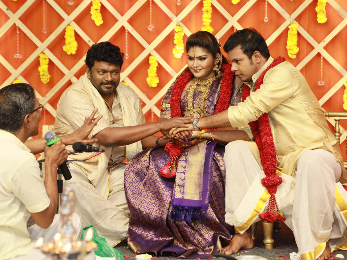 Parthiban Seetha Elder Daughter Abhinaya Wedding Photo Gallery - Sakshi5