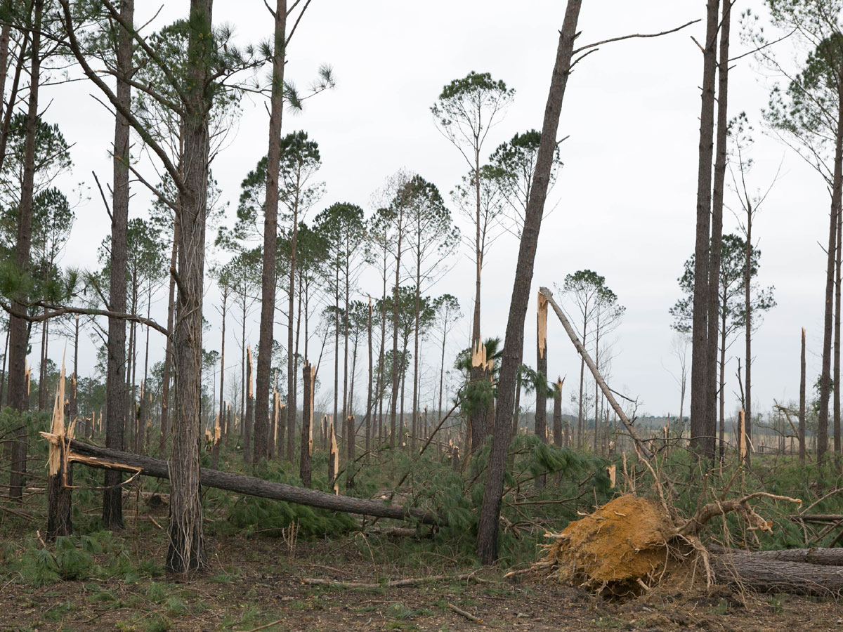 Alabama Tornadoes in Lee County Photo Gallery - Sakshi11