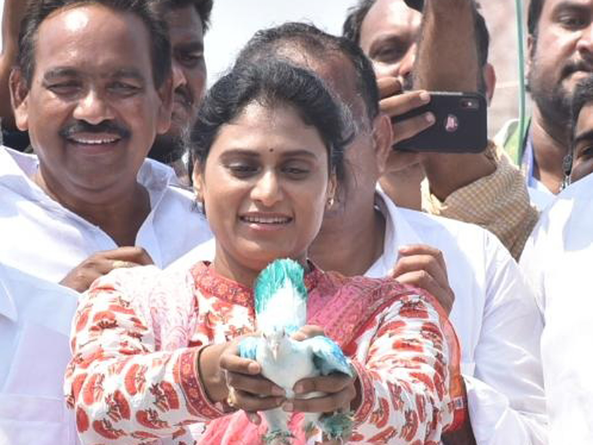 YS Sharmila Speech In Ponnuru Public Meeting Photo Gallery - Sakshi10