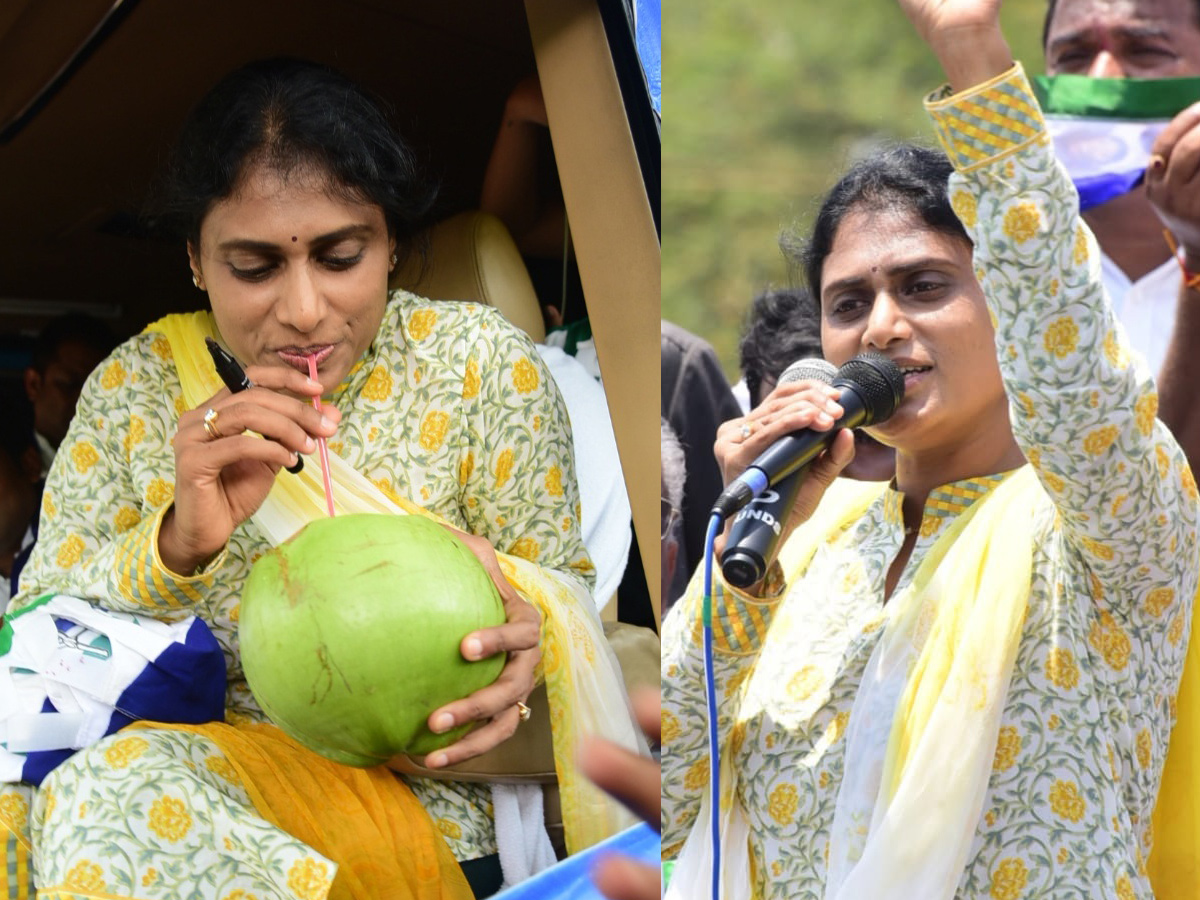 YS Sharmila Speech In Denduluru Public Meeting Photo Gallery - Sakshi9