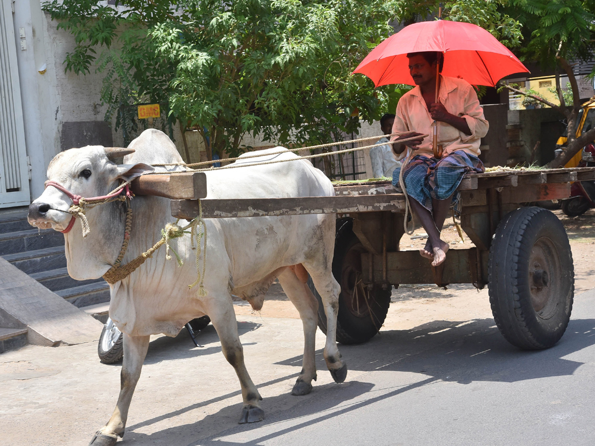 Best images of The Week in AP and Telangana May 25 to june 01 2019 - Sakshi39