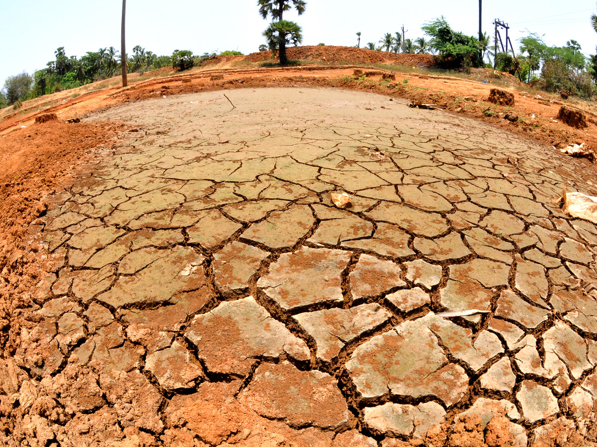 Best images of The Week in AP and Telangana May 25 to june 01 2019 - Sakshi41