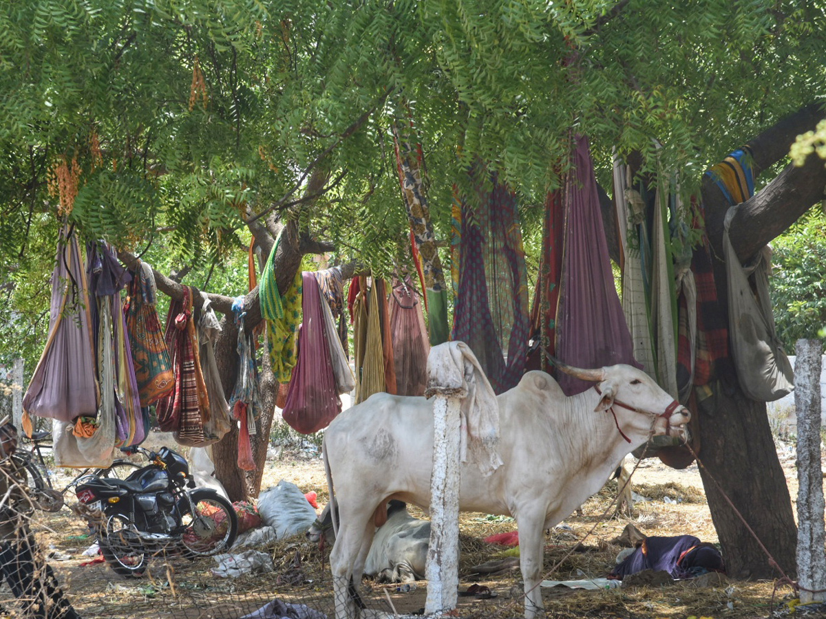 Best images of The Week in AP and Telangana May 25 to june 01 2019 - Sakshi10