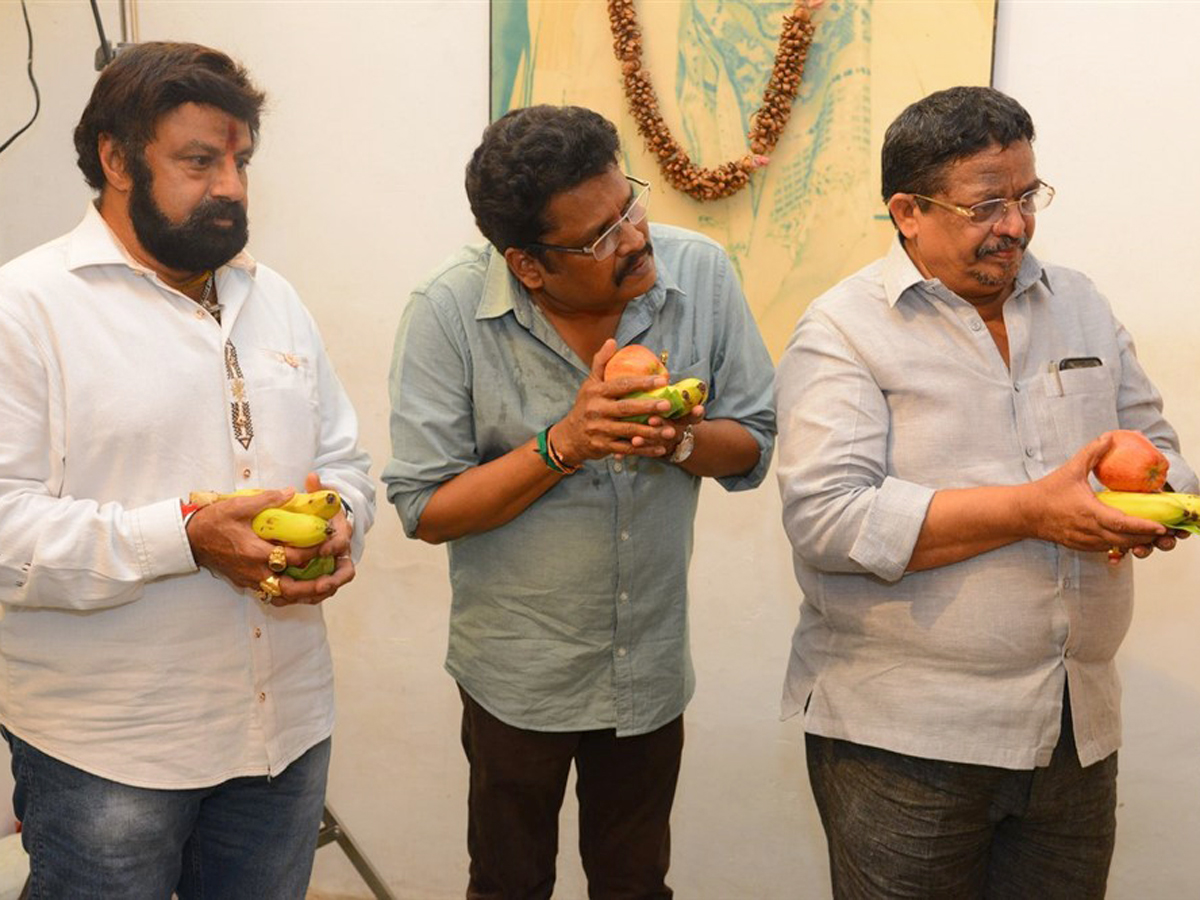 Special launch for Balakrishna 105th film Photo Gallery - Sakshi2