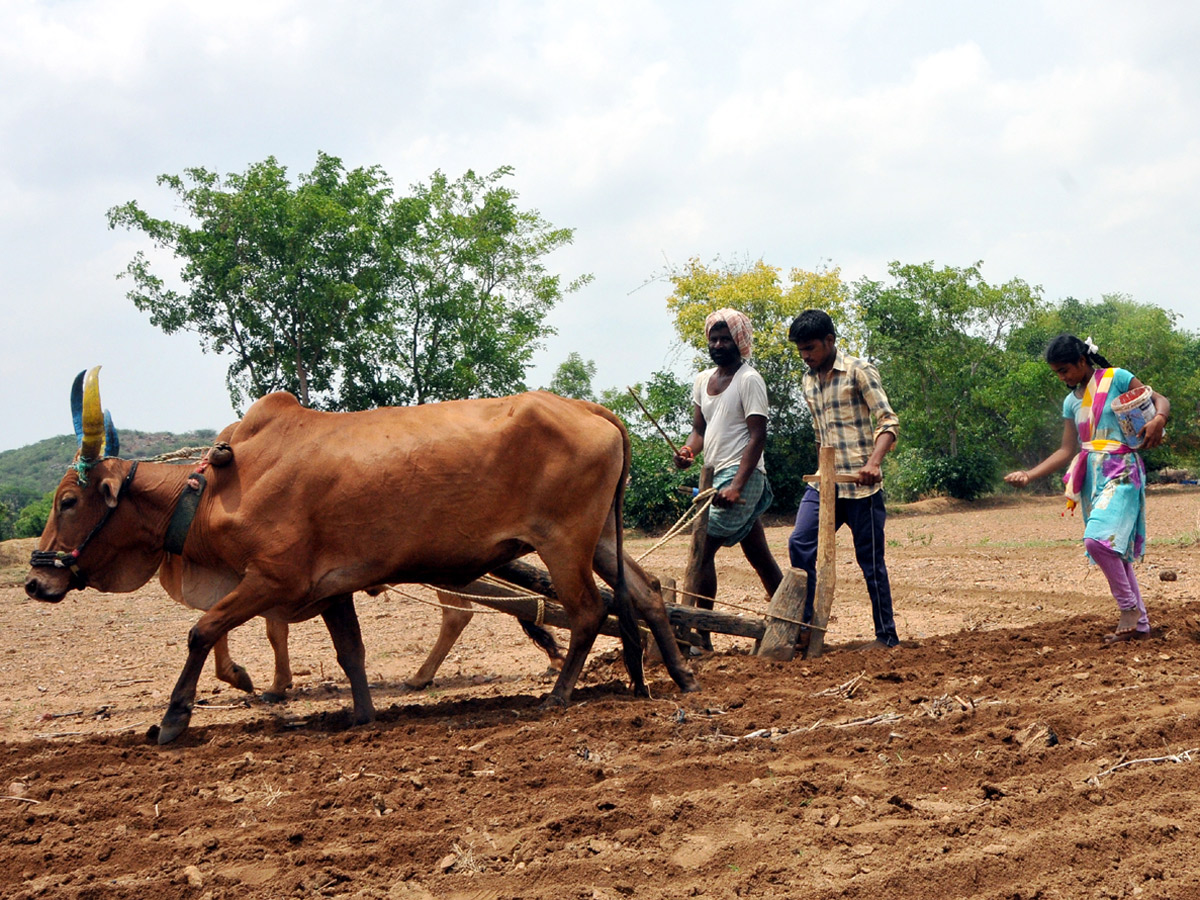 Best Photos of The Week in AP and Telangana june-16-june-22-2019 - Sakshi21