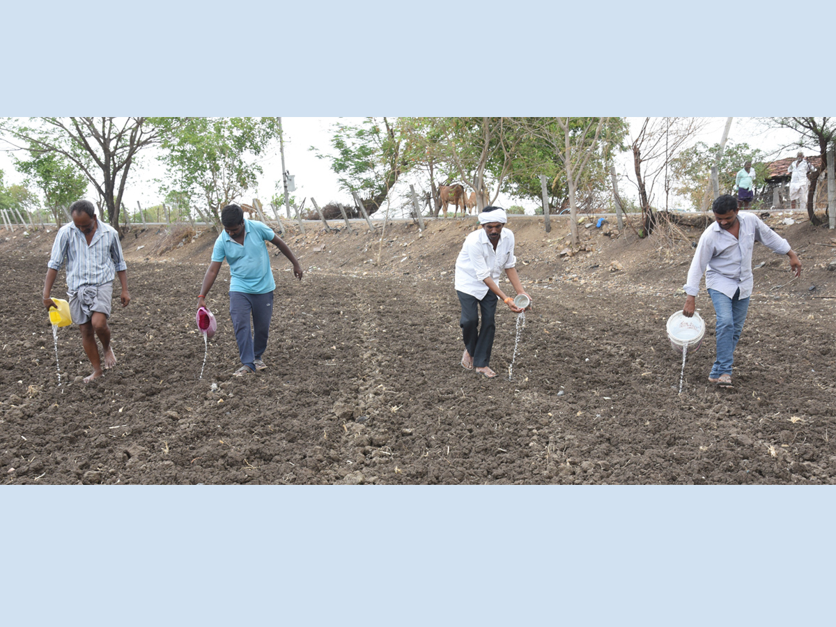 Best images of The Week in AP and Telangana june 23 to june 29 2019 - Sakshi8