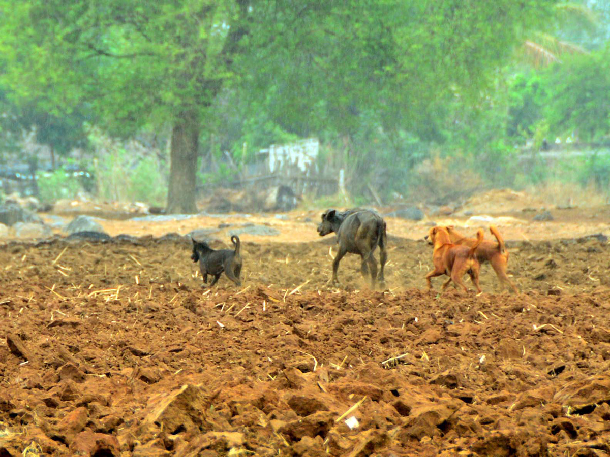 Best images of The Week in AP and Telangana june 23 to june 29 2019 - Sakshi20