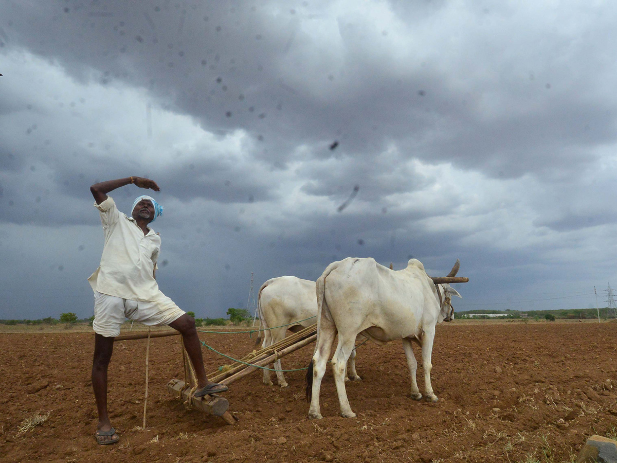 Best images of The Week in AP and Telangana june 23 to june 29 2019 - Sakshi7