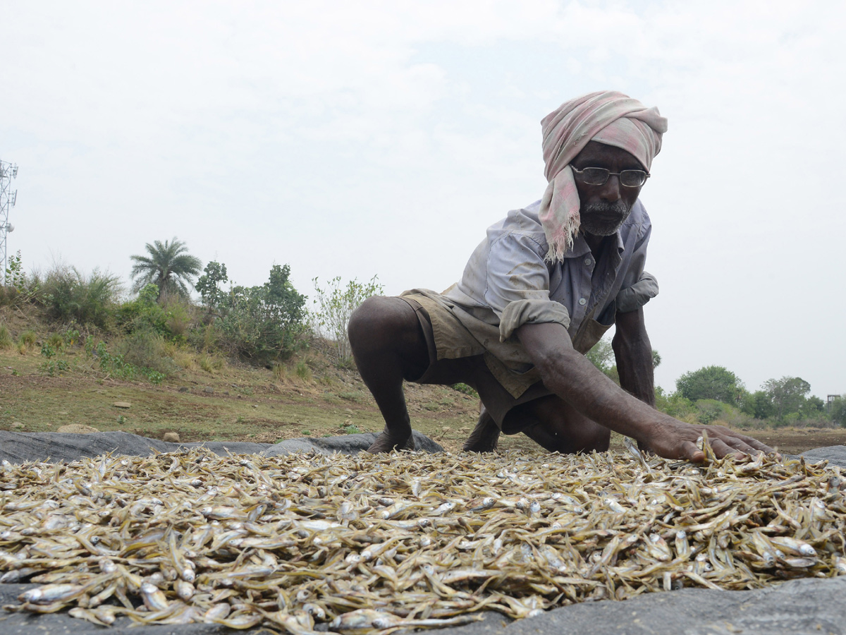 Best images of The Week in AP and Telangana june 23 to june 29 2019 - Sakshi25