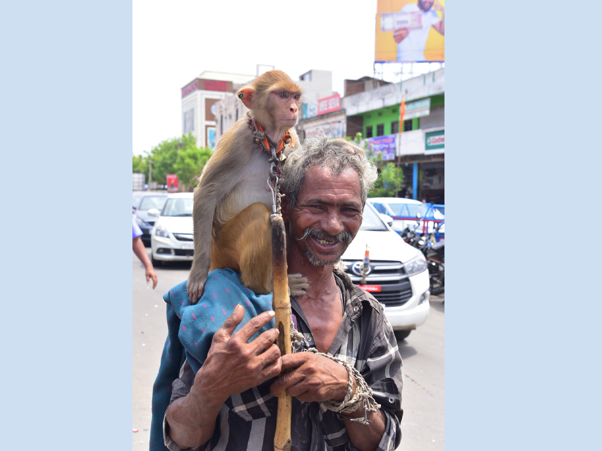 Best images of The Week in AP and Telangana june 23 to june 29 2019 - Sakshi29