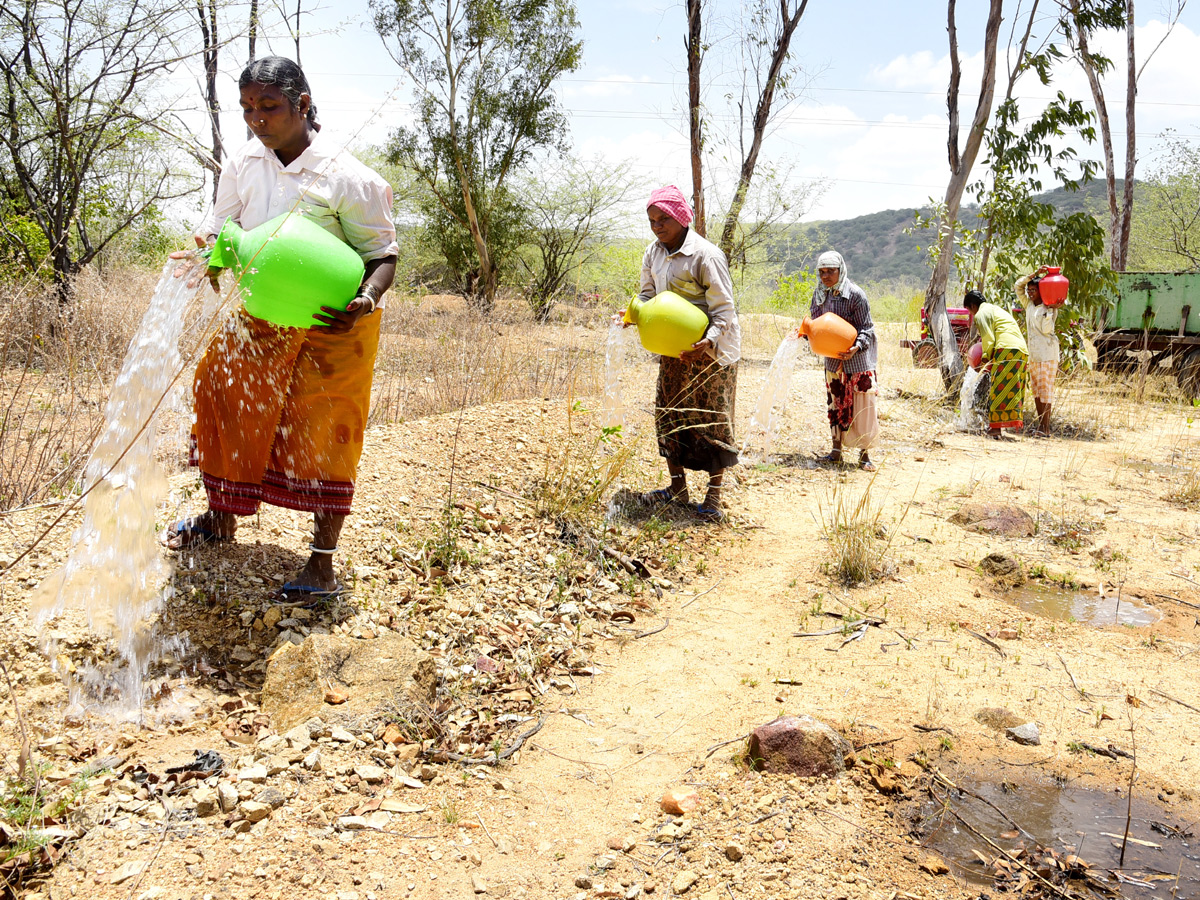 Best images of The Week in AP and Telangana june 23 to june 29 2019 - Sakshi48