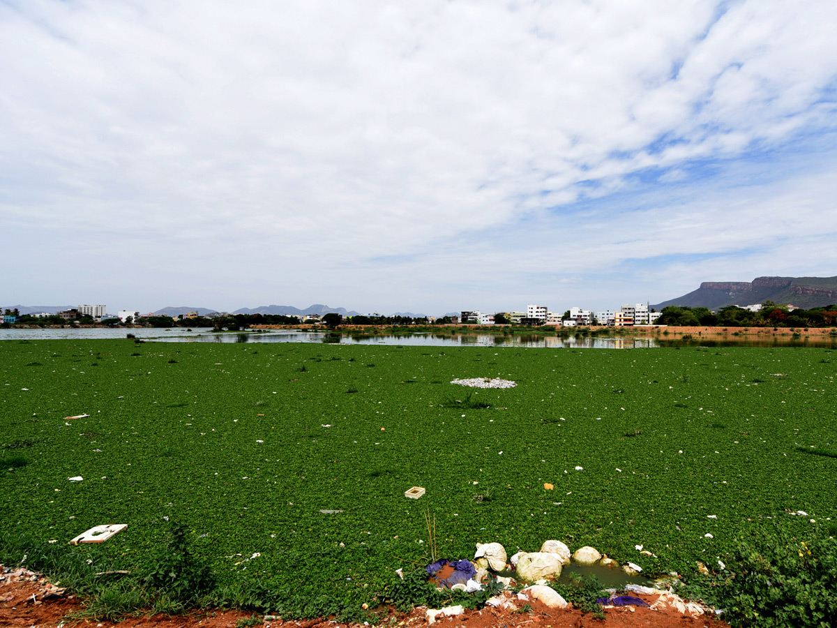 Best pics of The Week in AP and Telangana june 30 to july 06 2019 - Sakshi21