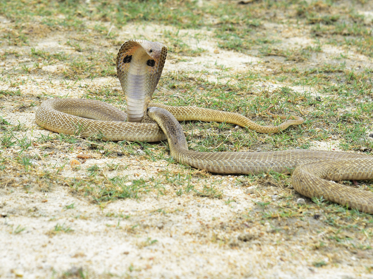 Best pics of The Week in AP and Telangana june 30 to july 06 2019 - Sakshi1