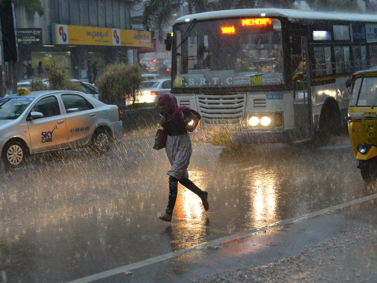 Best Photos/Pics/Images of The Week in AP and Telangana june 08 to june 15 2019 - Sakshi15