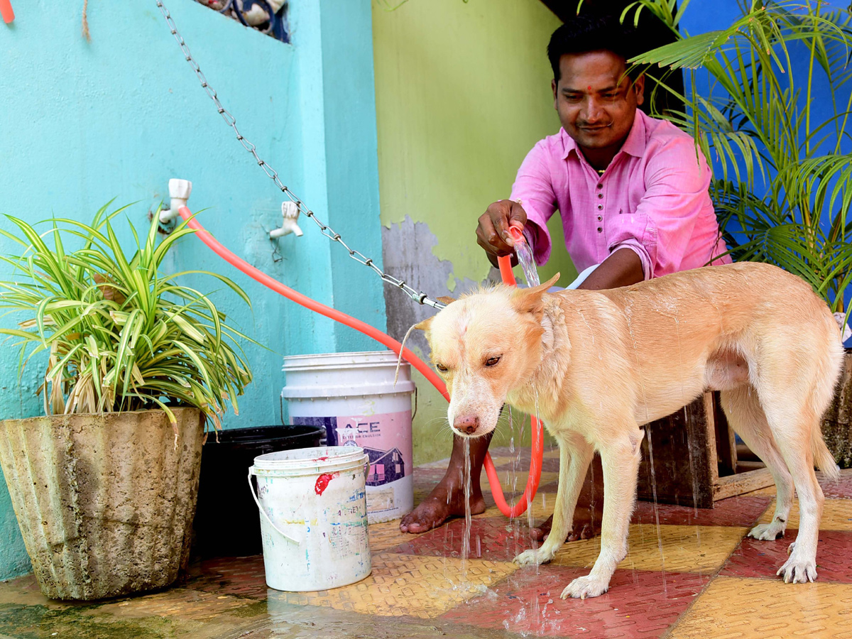 Best Photos/Pics/Images of The Week in AP and Telangana june 08 to june 15 2019 - Sakshi22