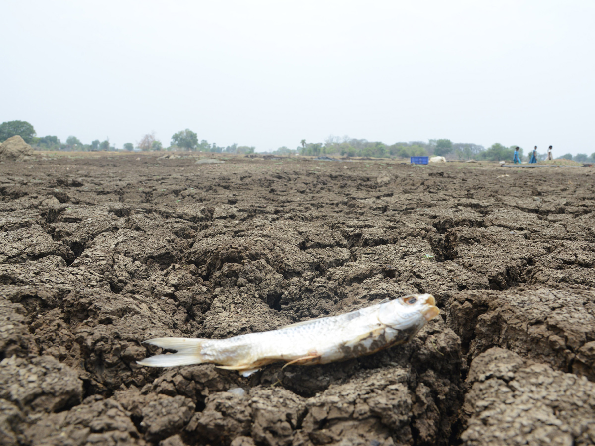 Best Photos/Pics/Images of The Week in AP and Telangana june 08 to june 15 2019 - Sakshi28