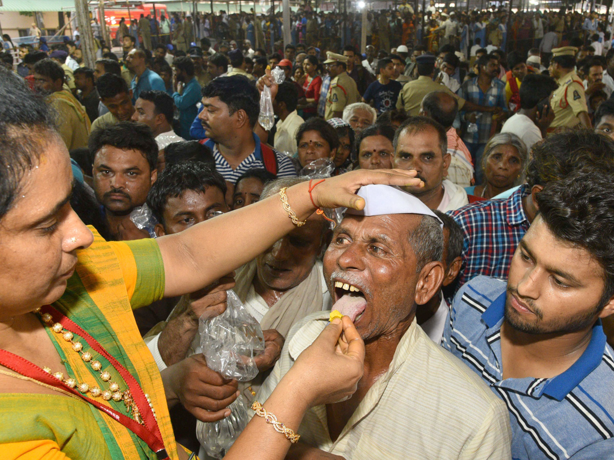 Fish Medicine Distribution In Hyderabad 2019 Photo Gallery - Sakshi18