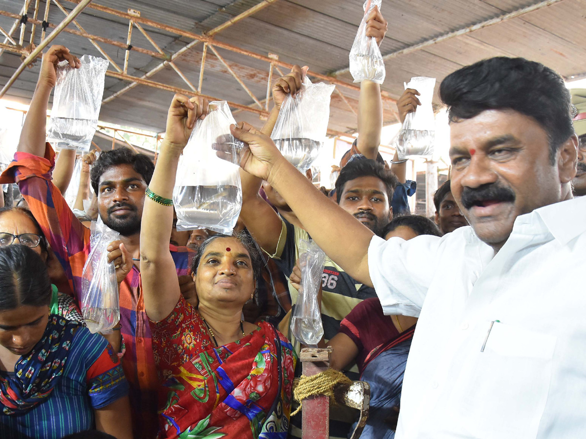 Fish Medicine Distribution In Hyderabad 2019 Photo Gallery - Sakshi19