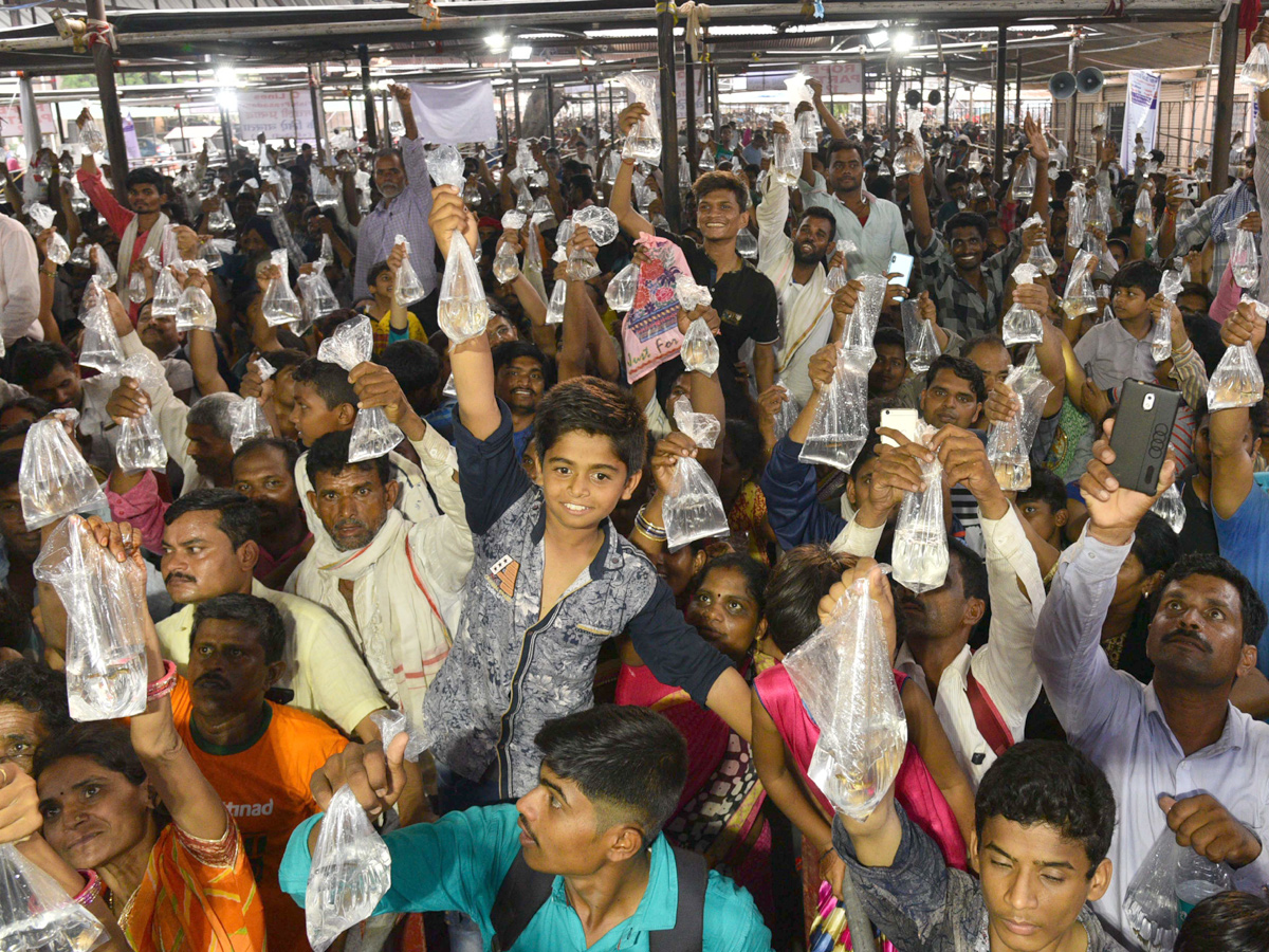 Fish Medicine Distribution In Hyderabad 2019 Photo Gallery - Sakshi20