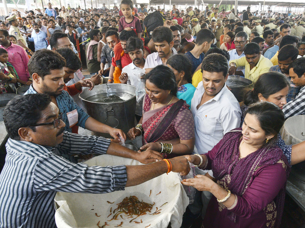 Fish Medicine Distribution In Hyderabad 2019 Photo Gallery - Sakshi23