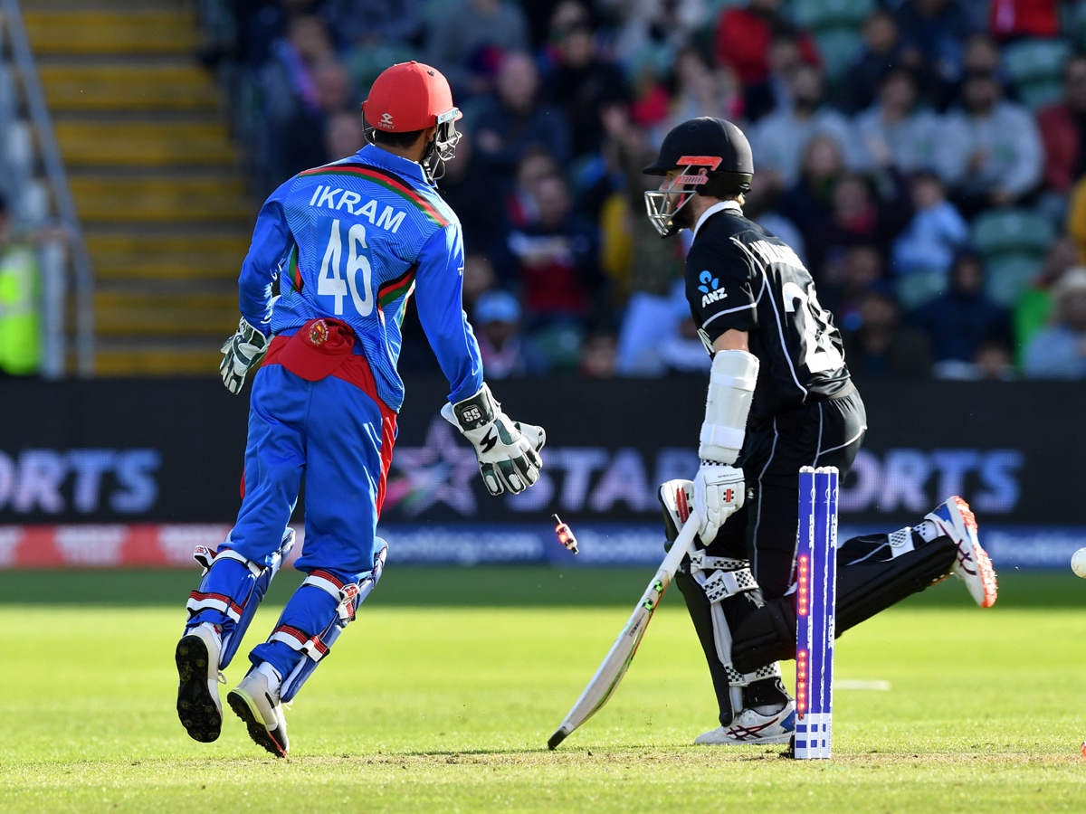 newzealand beat afghanistan by 7 wickets Photo Gallery - Sakshi12