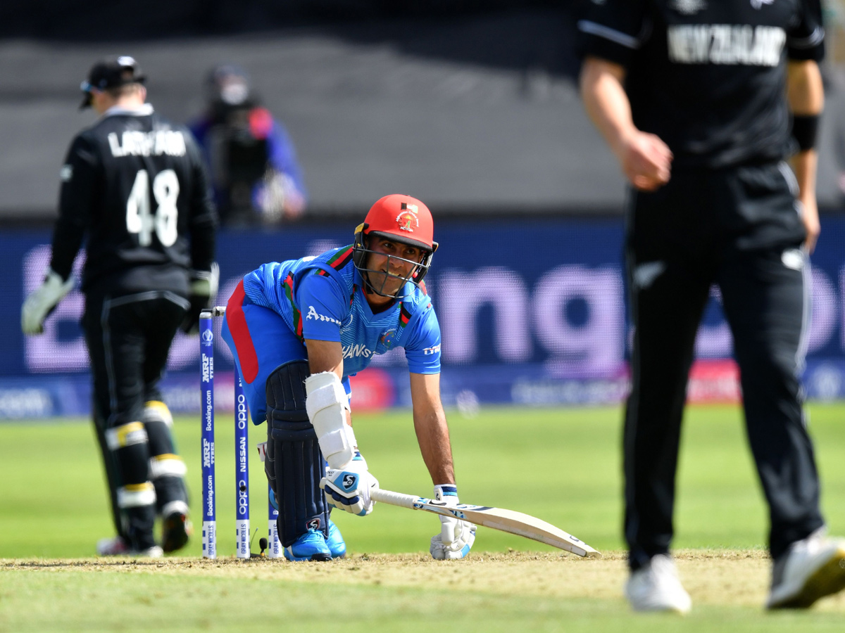 newzealand beat afghanistan by 7 wickets Photo Gallery - Sakshi20