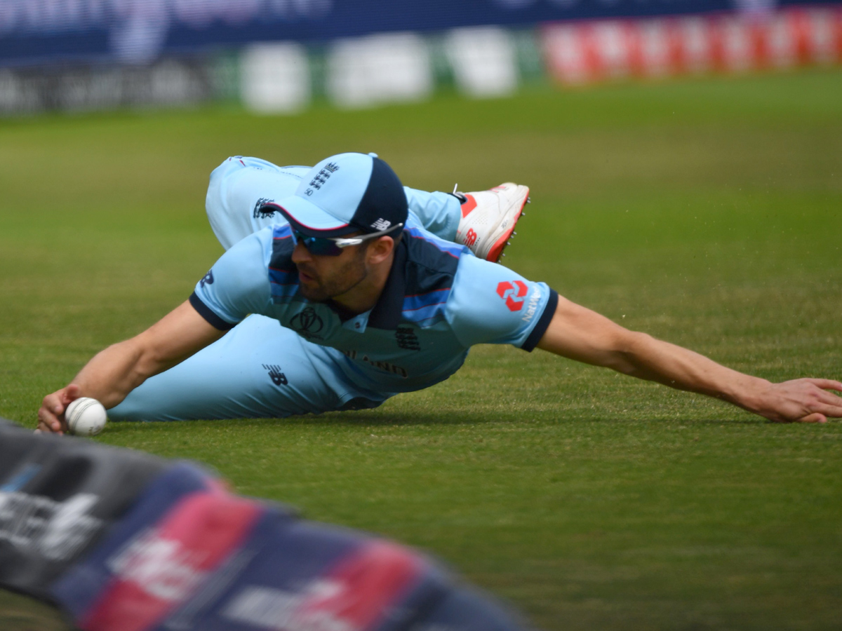  England beat Australia by 8 wickets Photo Gallery - Sakshi29