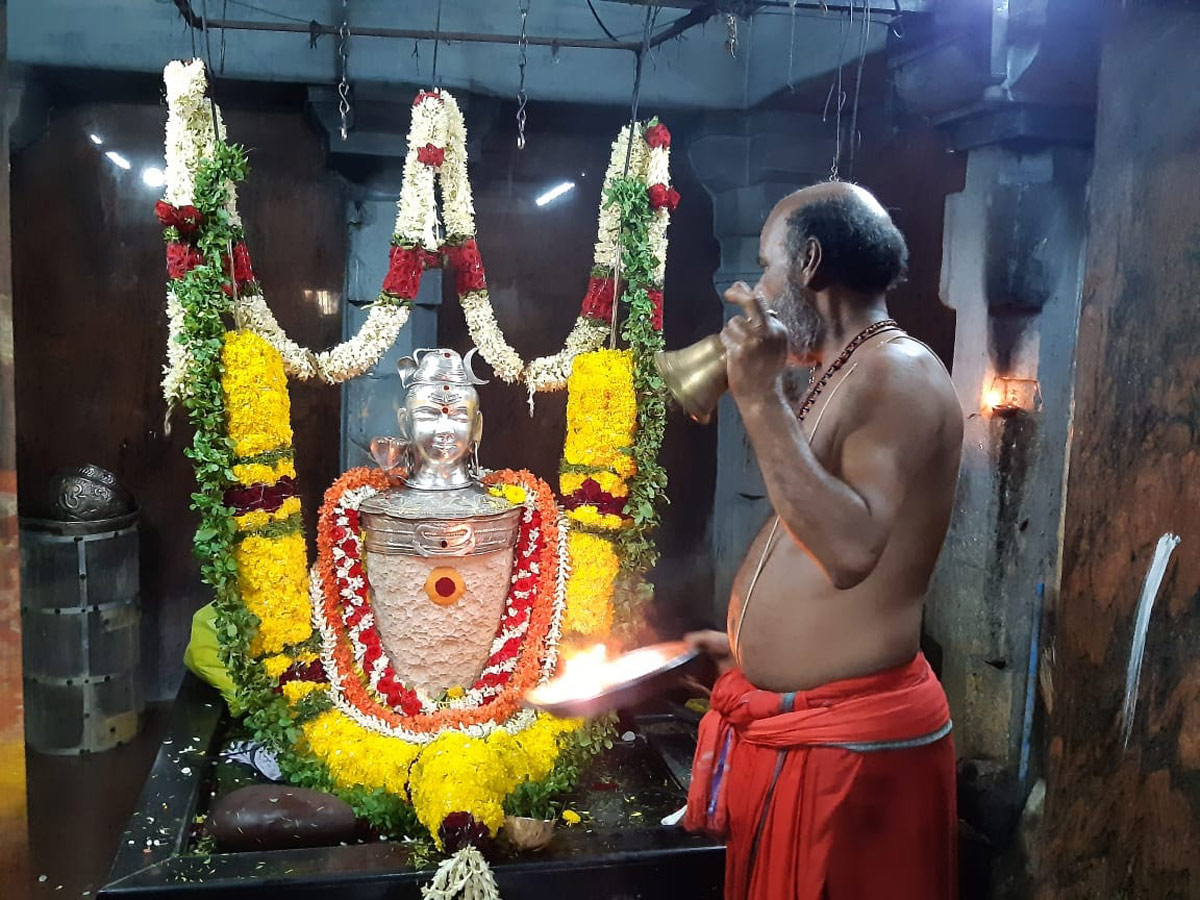 Toli Ekadasi of Temples With Devotees Photo Gallery - Sakshi8