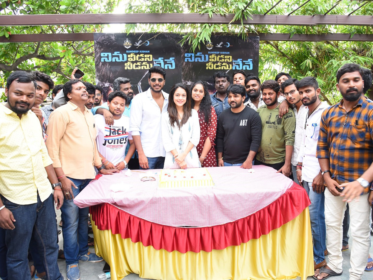 Ninu Veedani Needanu Nene Success Celebrations Photo Gallery - Sakshi1