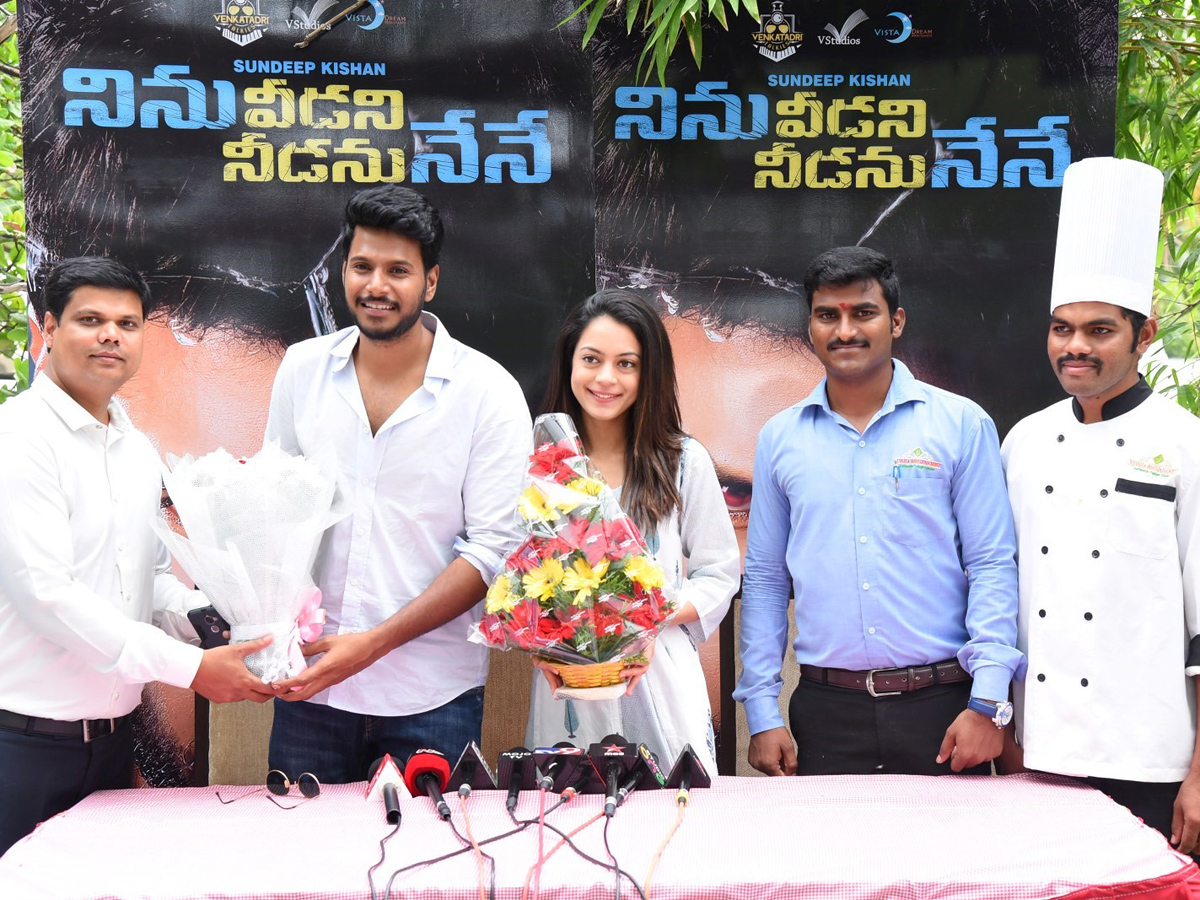 Ninu Veedani Needanu Nene Success Celebrations Photo Gallery - Sakshi10