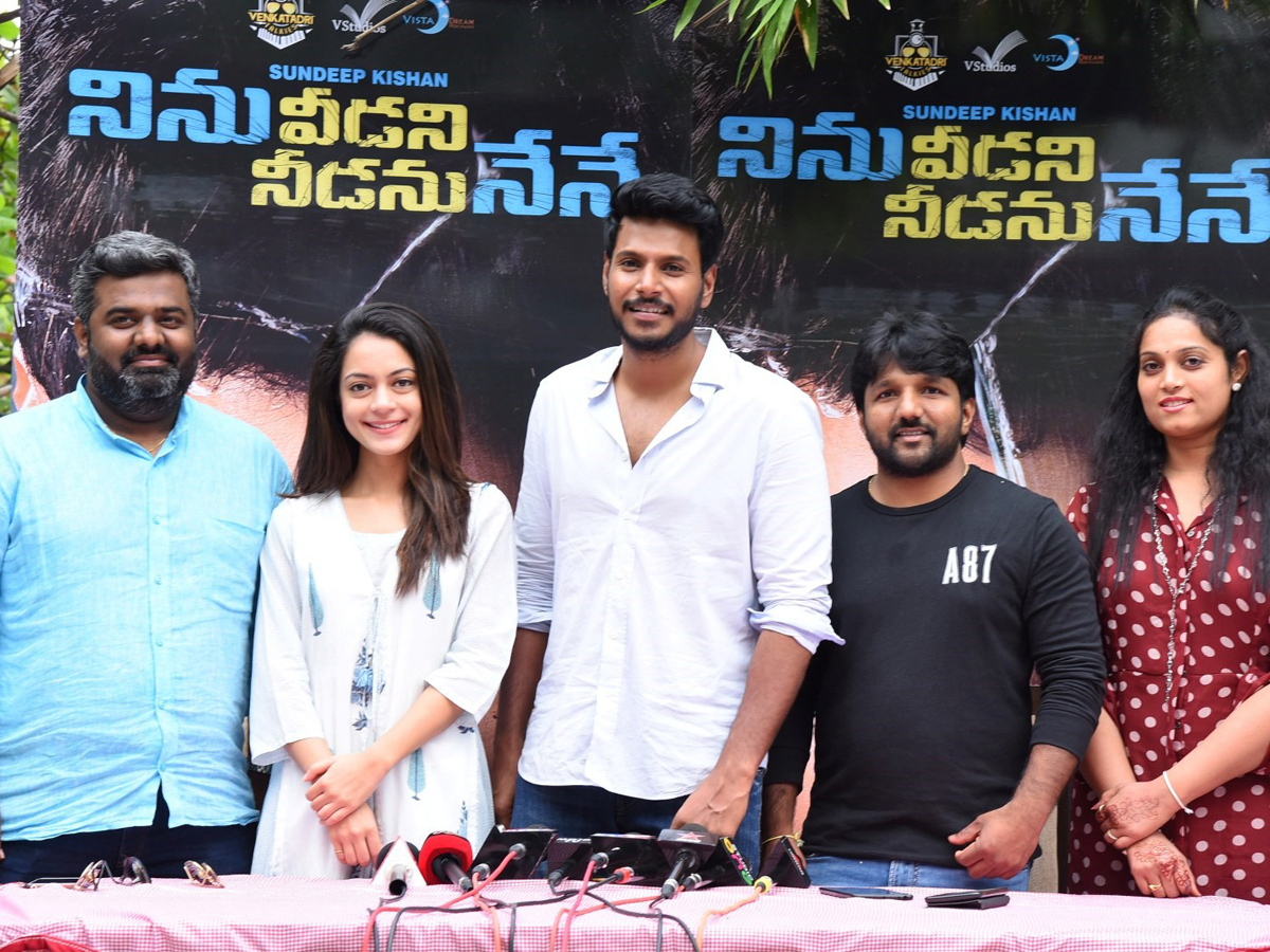 Ninu Veedani Needanu Nene Success Celebrations Photo Gallery - Sakshi4