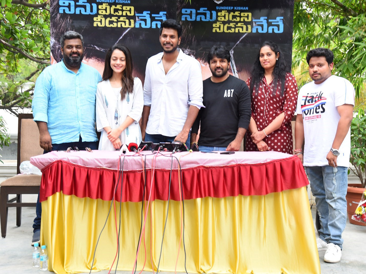 Ninu Veedani Needanu Nene Success Celebrations Photo Gallery - Sakshi5