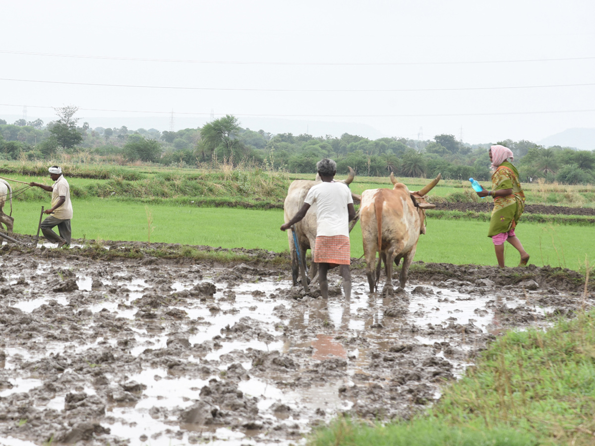 Best Photos of The Week in AP and Telangana july 07 to july 13 2019 - Sakshi13