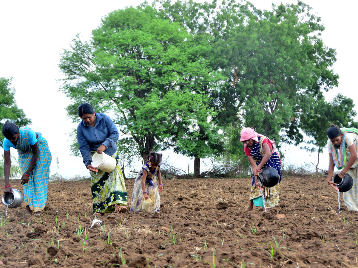 Best Photos of The Week in AP and Telangana july 07 to july 13 2019 - Sakshi14