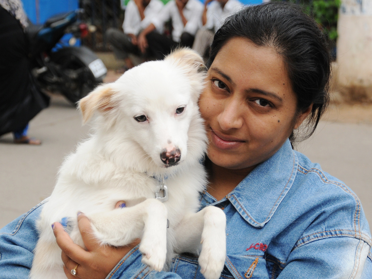 Anti Rabies Taccine In Super Specialty Veterinary Hospital At Narayanaguda - Sakshi12