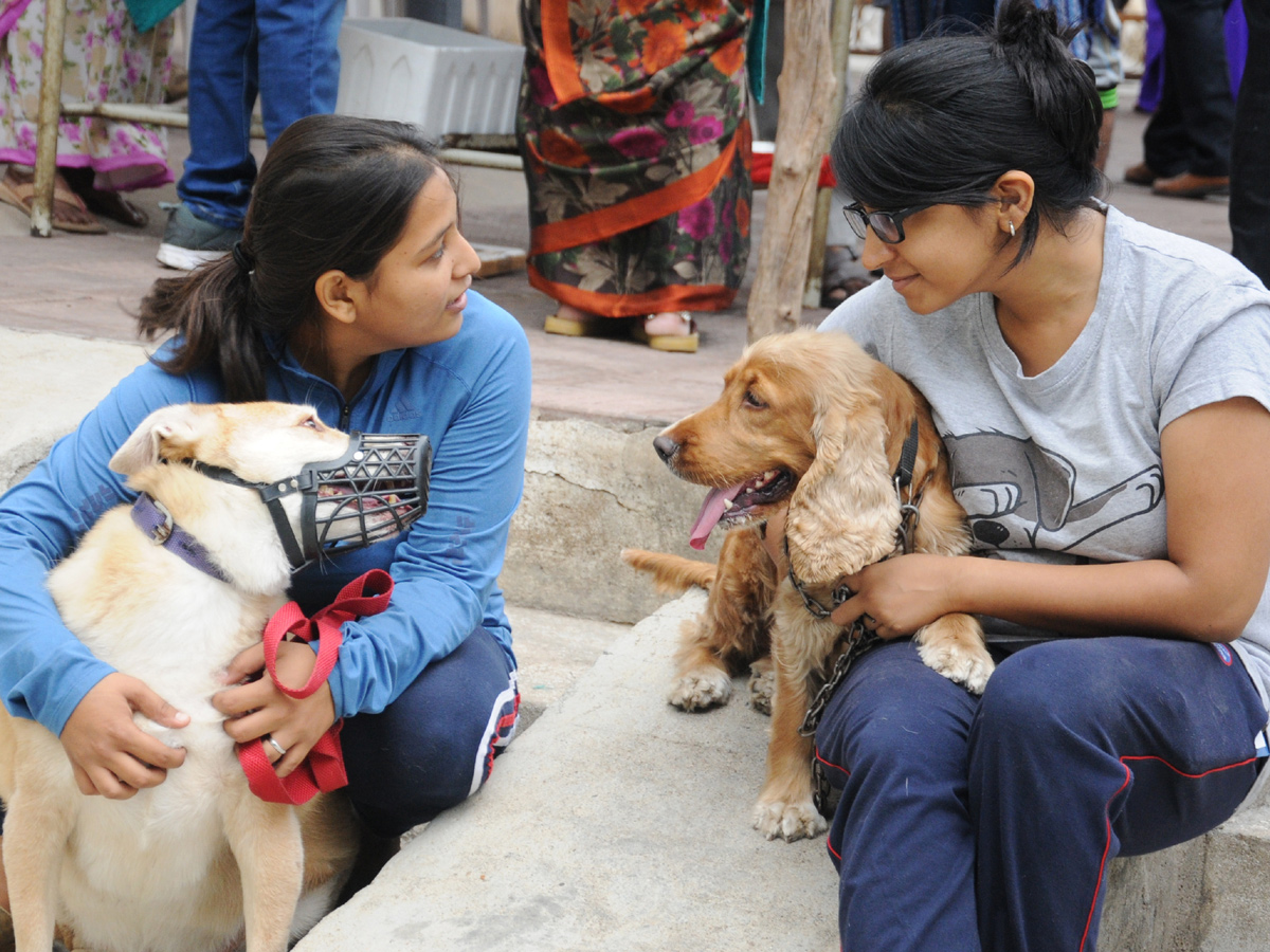 Anti Rabies Taccine In Super Specialty Veterinary Hospital At Narayanaguda - Sakshi13