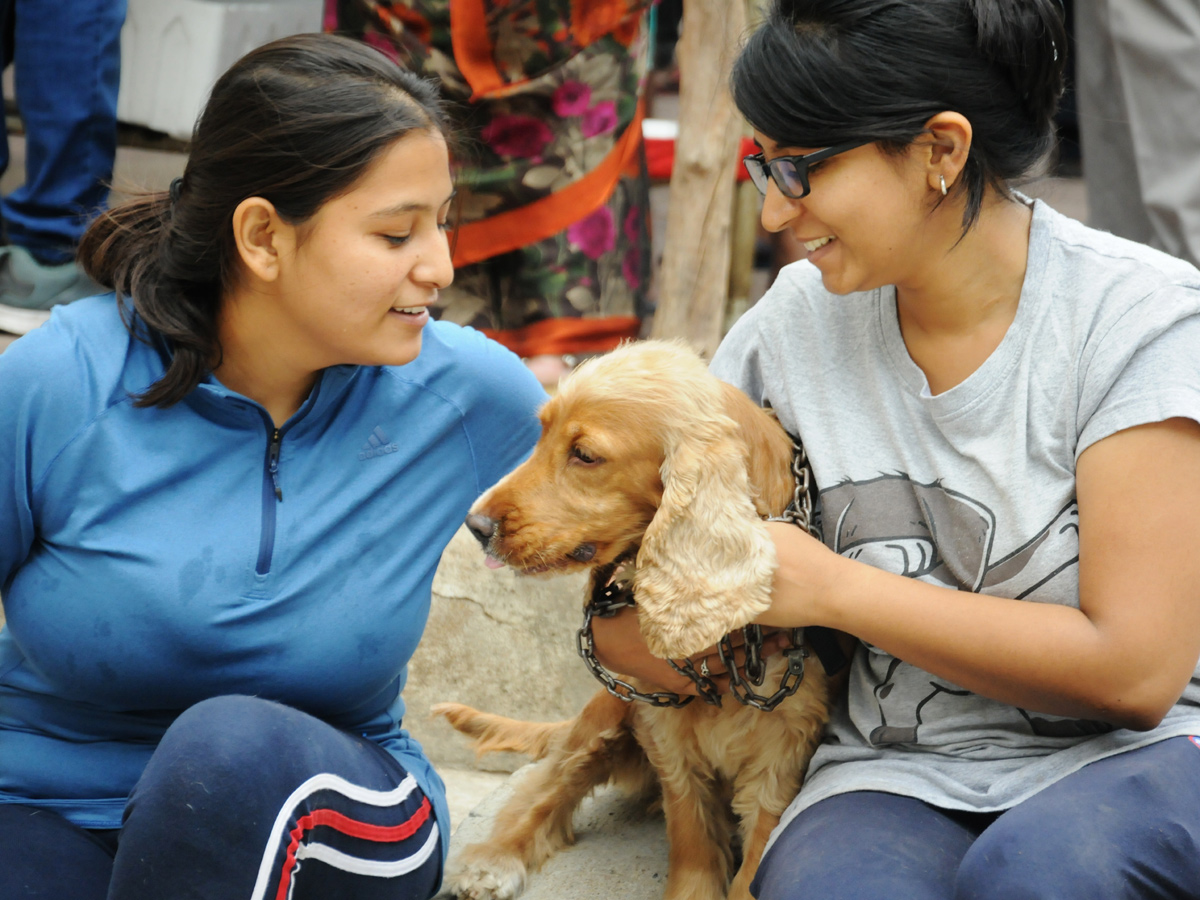 Anti Rabies Taccine In Super Specialty Veterinary Hospital At Narayanaguda - Sakshi14