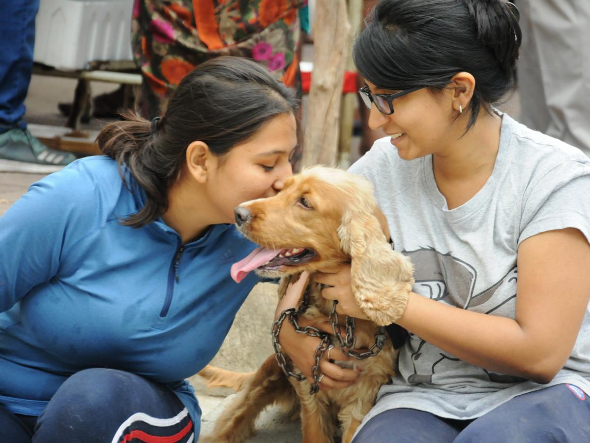 Anti Rabies Taccine In Super Specialty Veterinary Hospital At Narayanaguda - Sakshi15