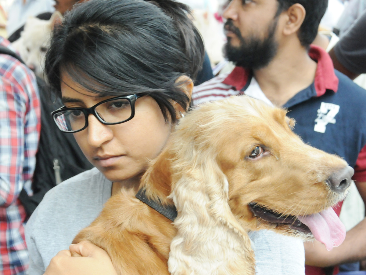 Anti Rabies Taccine In Super Specialty Veterinary Hospital At Narayanaguda - Sakshi16