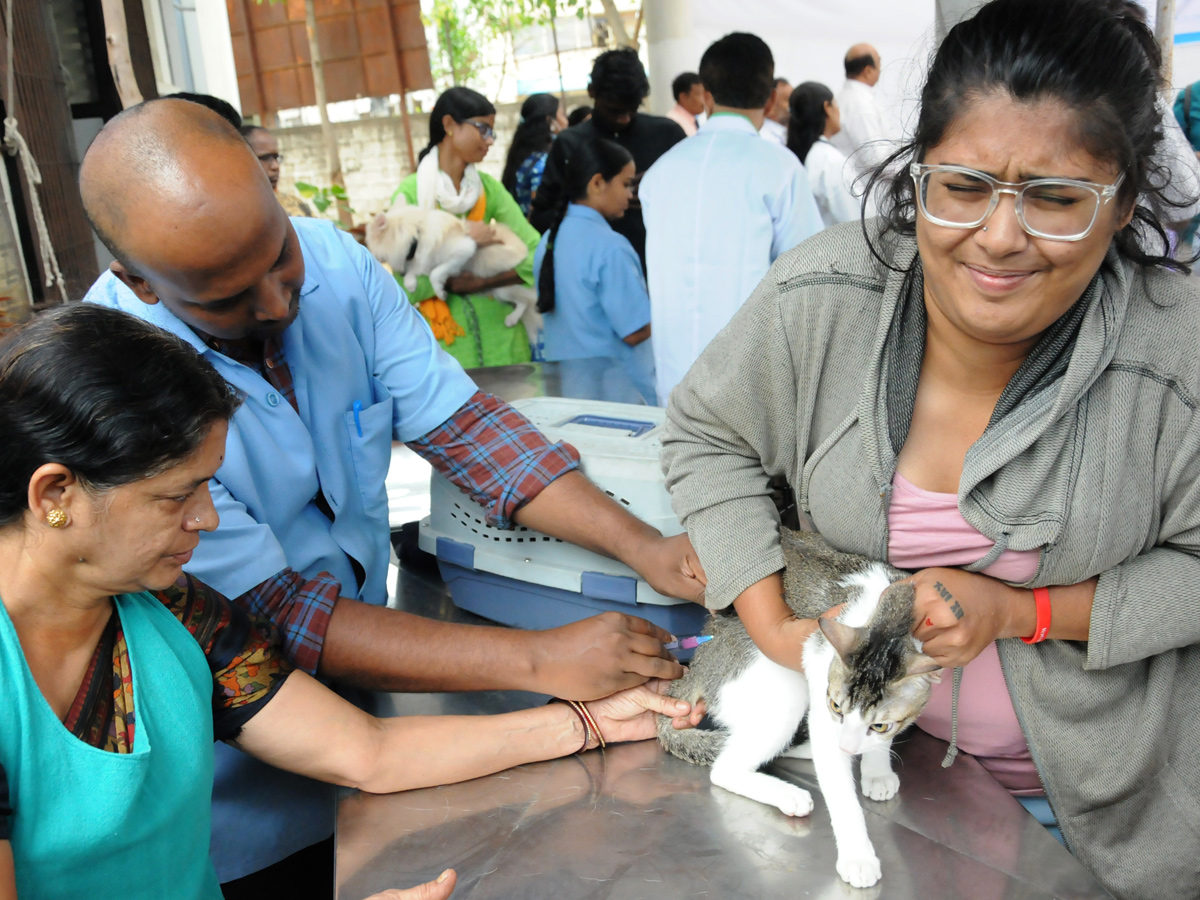 Anti Rabies Taccine In Super Specialty Veterinary Hospital At Narayanaguda - Sakshi17