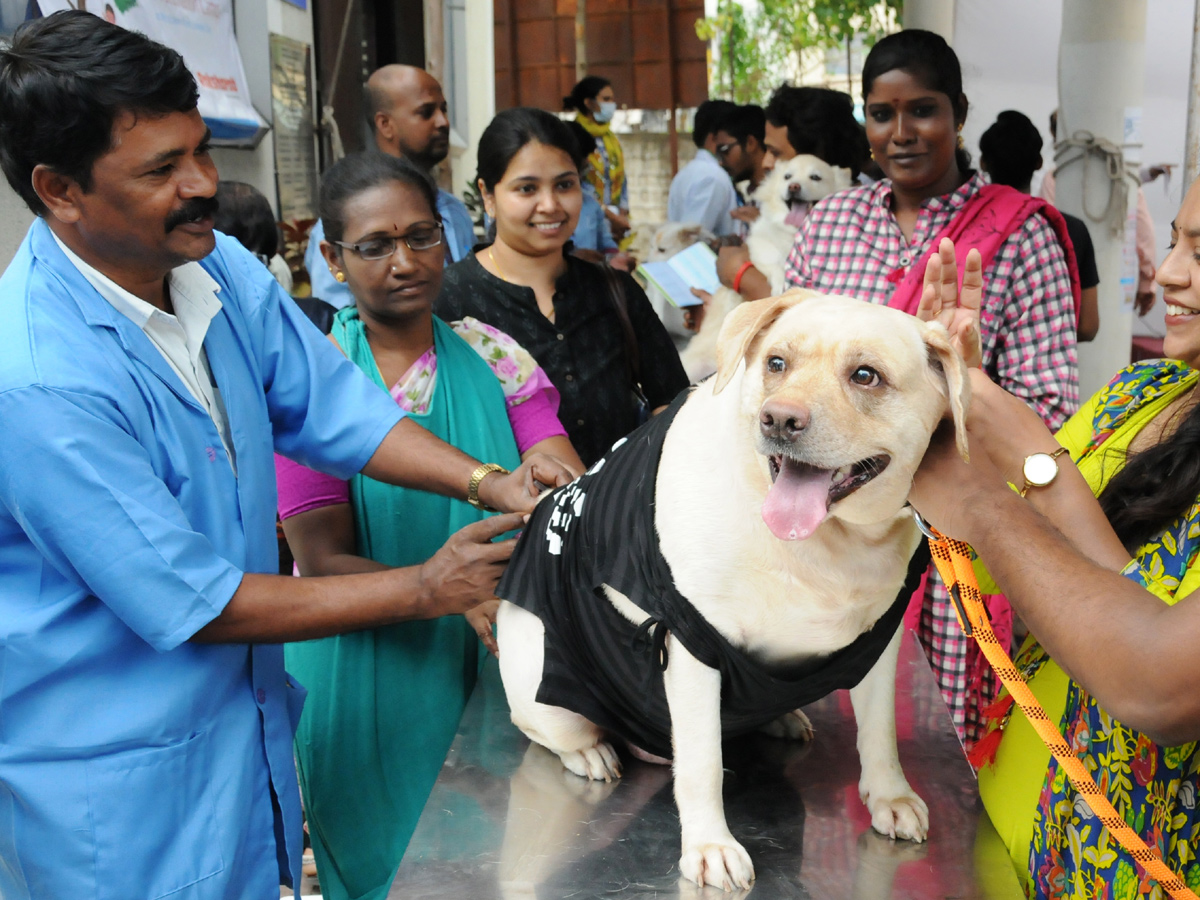 Anti Rabies Taccine In Super Specialty Veterinary Hospital At Narayanaguda - Sakshi20