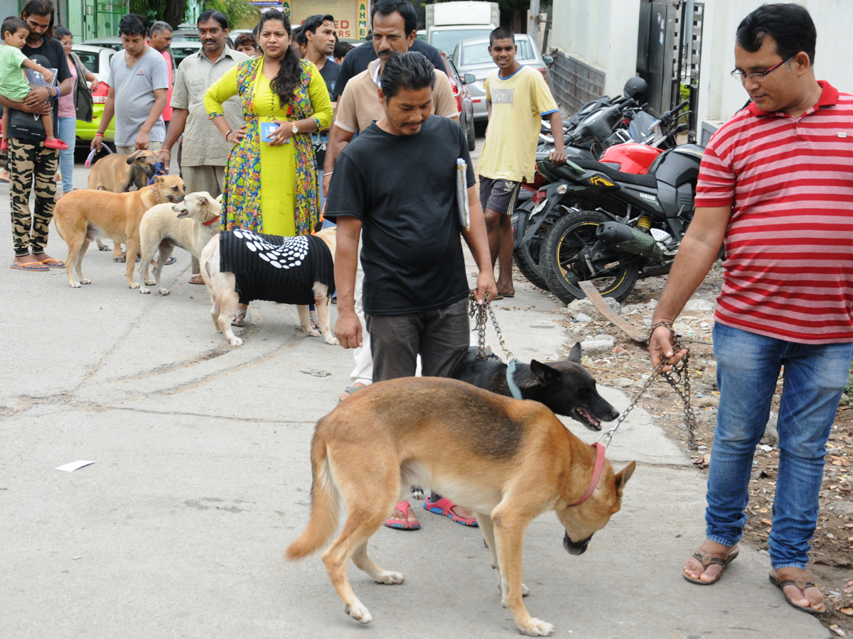 Anti Rabies Taccine In Super Specialty Veterinary Hospital At Narayanaguda - Sakshi21