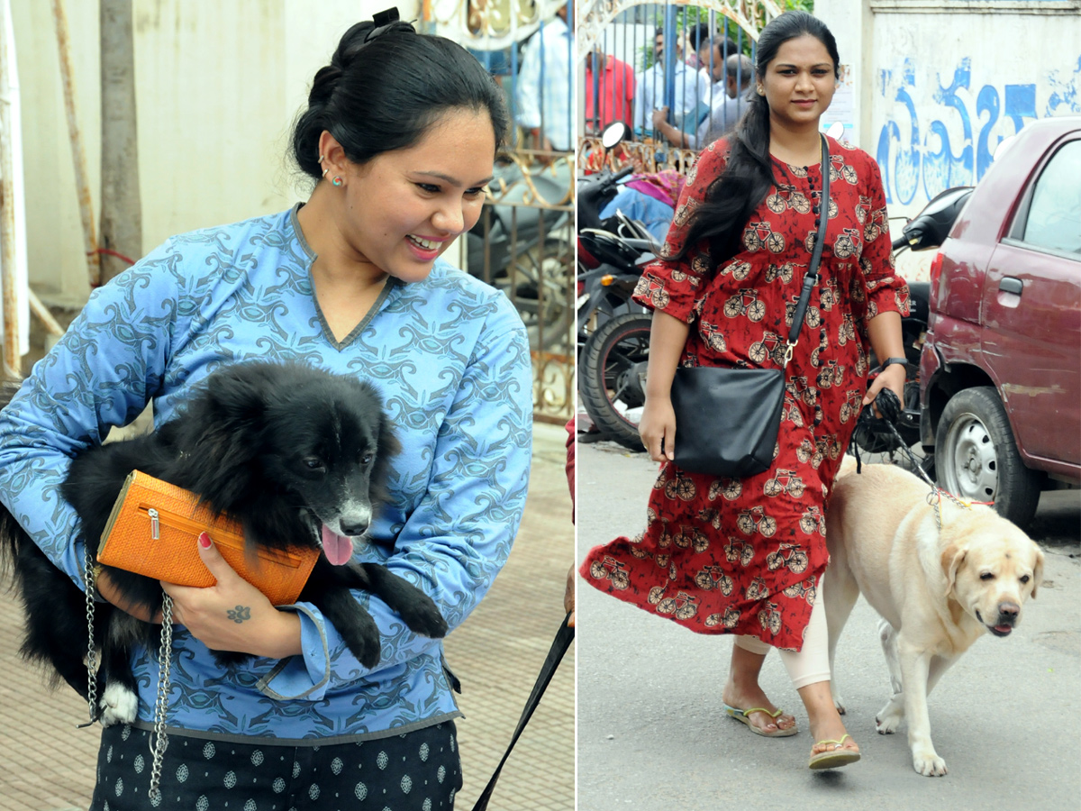 Anti Rabies Taccine In Super Specialty Veterinary Hospital At Narayanaguda - Sakshi1