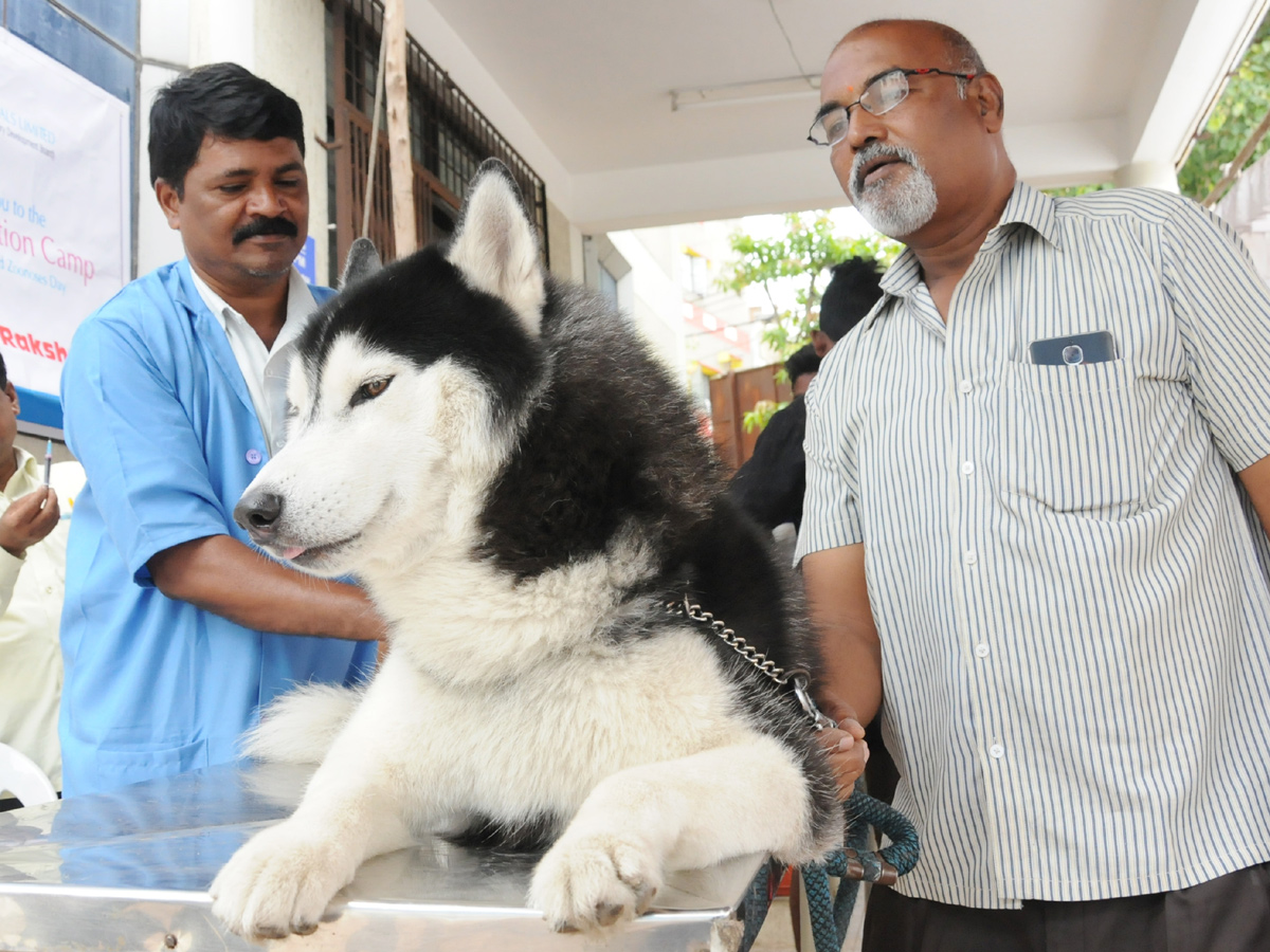 Anti Rabies Taccine In Super Specialty Veterinary Hospital At Narayanaguda - Sakshi5