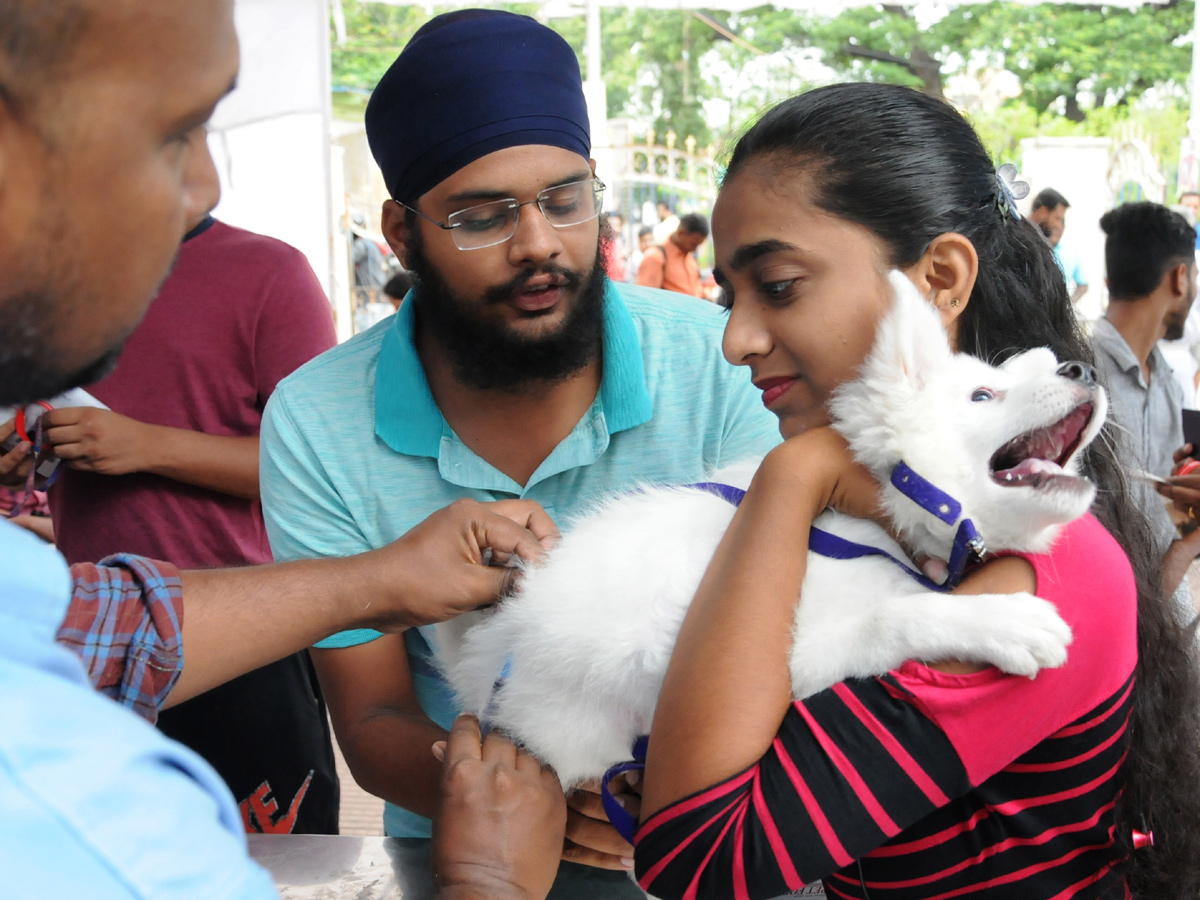 Anti Rabies Taccine In Super Specialty Veterinary Hospital At Narayanaguda - Sakshi7