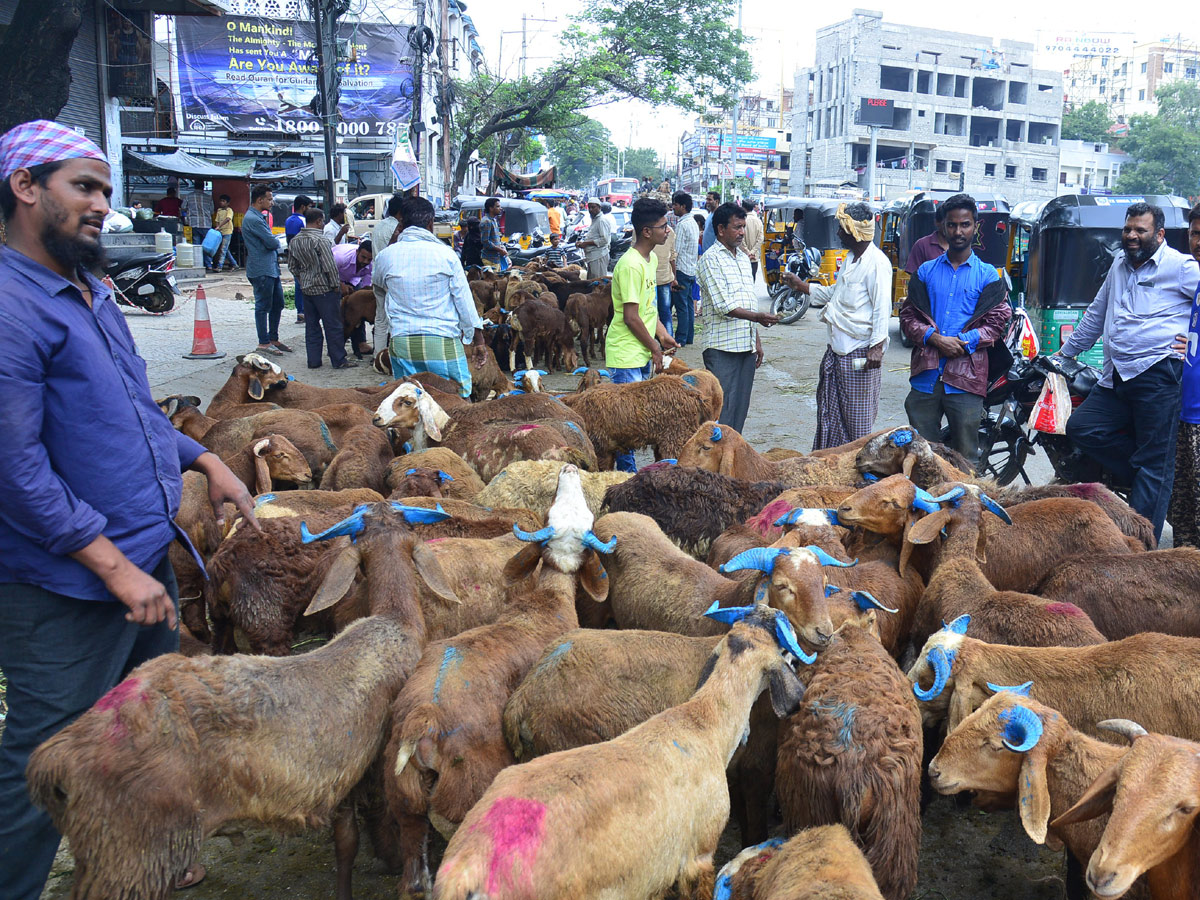 Eid alAdha Festival Photo Gallery - Sakshi1