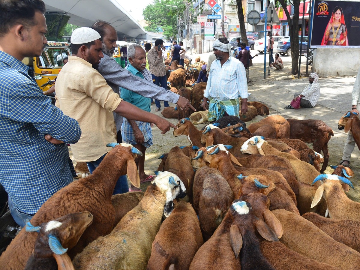 Eid alAdha Festival Photo Gallery - Sakshi11