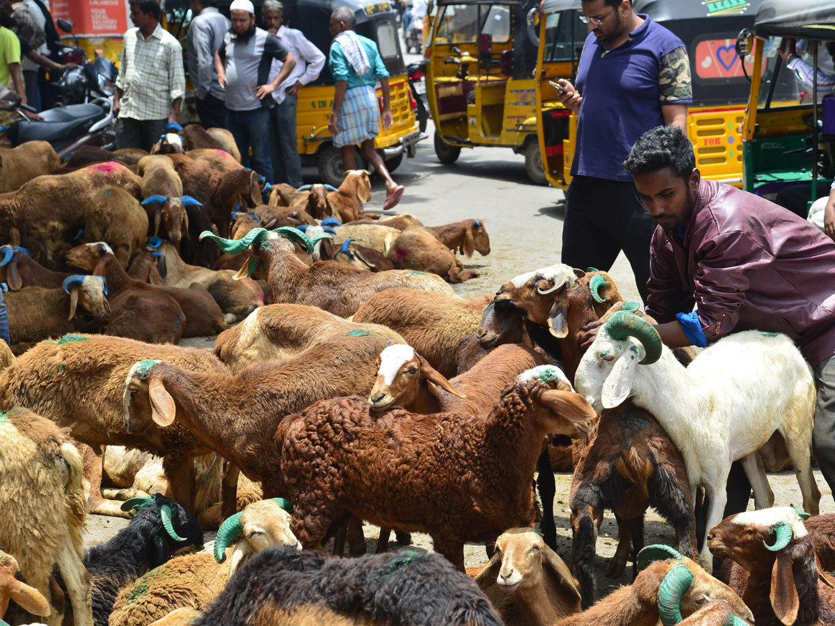 Eid alAdha Festival Photo Gallery - Sakshi12