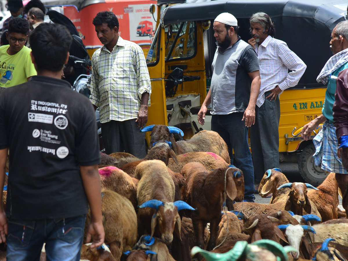 Eid alAdha Festival Photo Gallery - Sakshi13