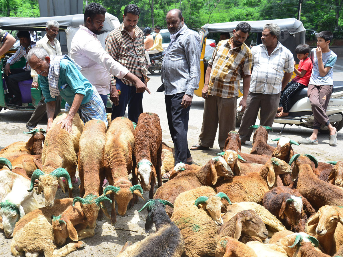 Eid alAdha Festival Photo Gallery - Sakshi14